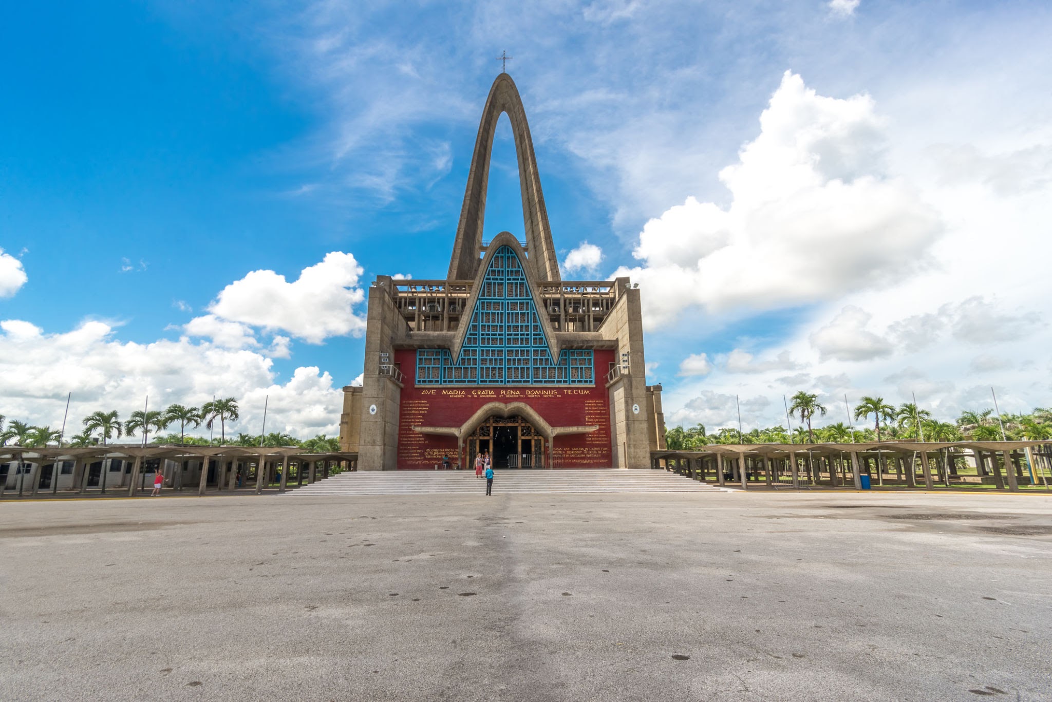SAFARI | HIGUEY DISCOVERY