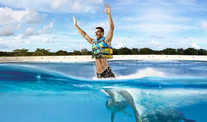 DOLPHIN SWIMMING (Dolphin Explorer- excellence)