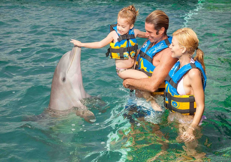 EXTREME SWIM (Dolphin Explorer – extreme)